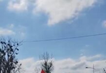 650-srednjoskolaca-iz-beograda-krenulo-peske-u-novi-sad:-stizu-u-petak-uvece
